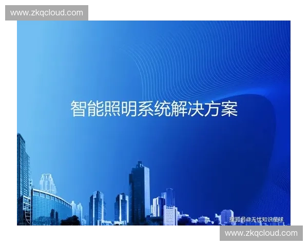 以智慧照明系统为核心的城市节能与人本光环境构建路径研究实践与展望