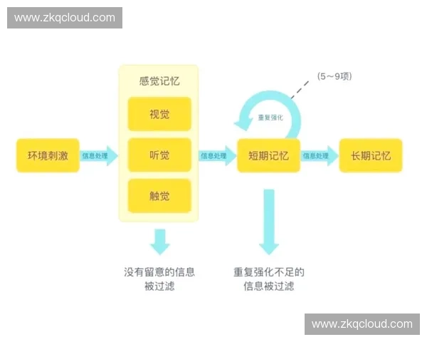 提升体育会员留存率的有效策略与实践探索