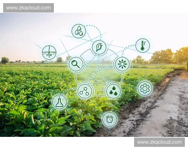 以补防轮转策略为核心提升农业可持续发展效率与作物产量的研究